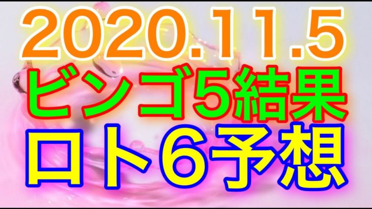 【2020.11.5】ビンゴ5結果＆ロト6予想！