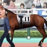 【ダビスタ】【ギャンブル】カイジが馬になって競馬を荒らす！！【G1】