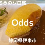 2020/1【静岡県伊東市】Odds(オッズ)