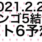 【2021.2.25】ビンゴ5結果＆ロト6予想！