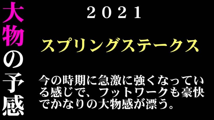 【ゼロ太郎】「スプリングステークス2021」出走予定馬・予想オッズ・人気馬見解