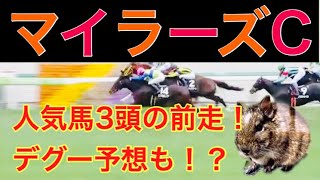 【ギャンブル・デグー】
マイラーズC /人気馬3頭の前走/デグー予想も！？
