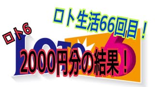 【ロト生活】66回目！