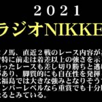 【ゼロ太郎】「ラジオNIKKEI賞2021」出走予定馬・予想オッズ・人気馬見解