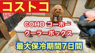 【コストコ】COHO コーホー クーラーボックス ロトモールド 55QT 52Lご紹介