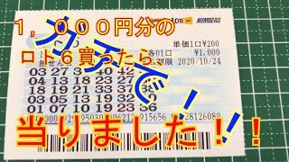 【当選！！】ロト６を1,000円分買ったら当りました！！