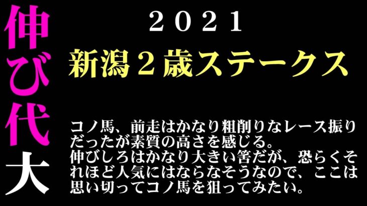 【ゼロ太郎】「新潟２歳ステークス2021」出走予定馬・予想オッズ・人気馬見解