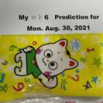 My ロト6 & ナンバース3/4 Prediction for Mon. Aug. 30,2021-Members