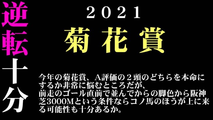 【ゼロ太郎】「菊花賞2021」出走予定馬・予想オッズ・人気馬見解