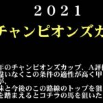 【ゼロ太郎】「チャンピオンズカップ2021」出走予定馬・予想オッズ・人気馬見解