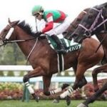 【京阪杯前日オッズ】3歳牝馬レイハリアが3.9倍で1番人気、シヴァージが続く|Top News