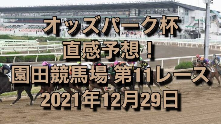 オッズパーク杯 直感予想！ 園田競馬場  第11レース 2021年12月29日