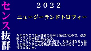 【ゼロ太郎】「ニュージーランドトロフィー2022」出走予定馬・予想オッズ・人気馬見解
