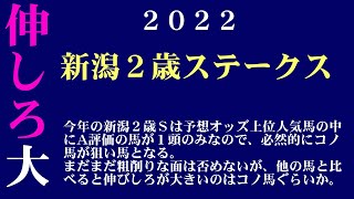 【ゼロ太郎】「新潟２歳ステークス2022」出走予定馬・予想オッズ・人気馬見解