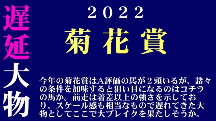 【ゼロ太郎】「菊花賞2022」出走予定馬・予想オッズ・人気馬見解