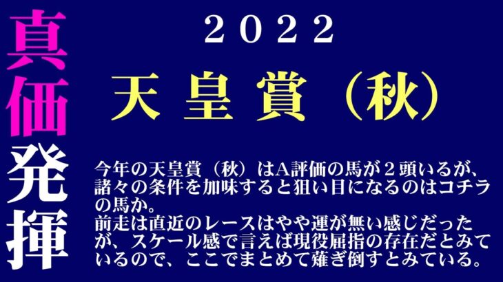 【ゼロ太郎】「天皇賞（秋）2022」出走予定馬・予想オッズ・人気馬見解