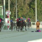 2022/12/29　園田競馬　第11レース「オッズパークウィンターカップ」での落馬事故