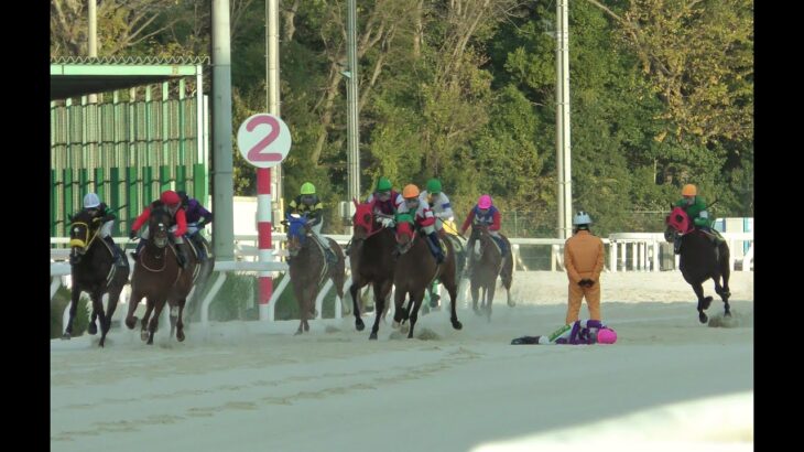 2022/12/29　園田競馬　第11レース「オッズパークウィンターカップ」での落馬事故
