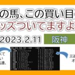 阪神競馬 オッズの偏り ライブ配信 2023.02.11