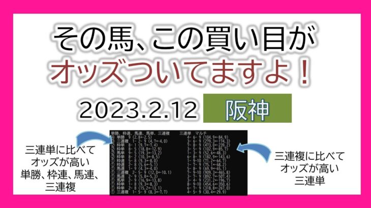 阪神競馬 オッズの偏り ライブ配信 2023.02.12