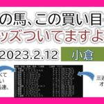 小倉競馬 オッズの偏り ライブ配信 2023.02.12