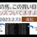 浦和競馬 オッズの偏り ライブ配信 2023.02.13