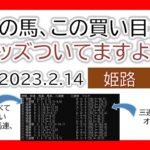 姫路競馬 オッズの偏り ライブ配信 2023.02.14