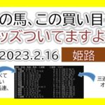 姫路競馬 オッズの偏り ライブ配信 2023.02.16