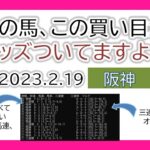 阪神競馬 オッズの偏り ライブ配信 2023.02.19