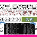阪神競馬 オッズの偏り ライブ配信 2023.02.26