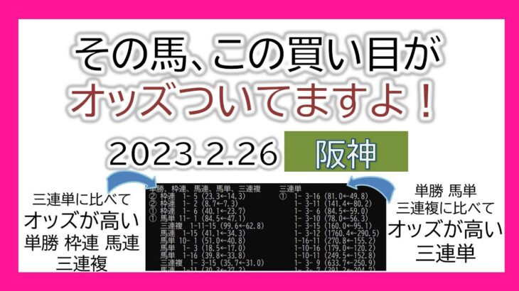 阪神競馬 オッズの偏り ライブ配信 2023.02.26