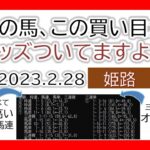 姫路競馬 オッズの偏り ライブ配信 2023.02.28