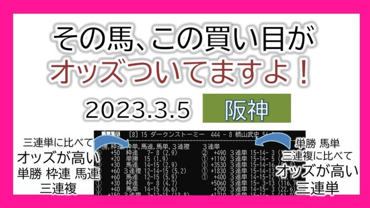 阪神競馬 オッズの偏り ライブ配信 2023.03.05