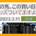 阪神競馬 オッズの偏り ライブ配信 2023.03.11
