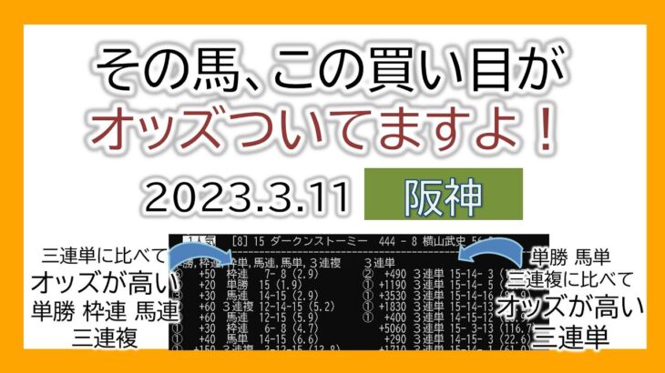 阪神競馬 オッズの偏り ライブ配信 2023.03.11