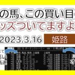 姫路競馬 オッズの偏り ライブ配信 2023.03.16