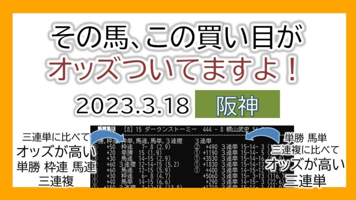 阪神競馬 オッズの偏り ライブ配信 2023.03.18