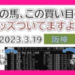 阪神競馬 オッズの偏り ライブ配信 2023.03.19