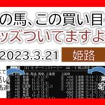 姫路競馬 オッズの偏り ライブ配信 2023.03.21