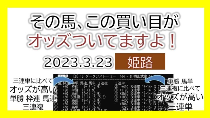 姫路競馬 オッズの偏り ライブ配信 2023.03.23