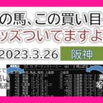阪神競馬 オッズの偏り ライブ配信 2023.03.26