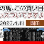 園田競馬 オッズの偏り ライブ配信 2023.04.11