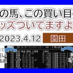 園田競馬 オッズの偏り ライブ配信 2023.04.12