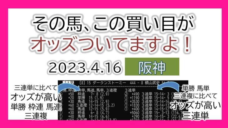 阪神競馬 オッズの偏り ライブ配信 2023.04.16