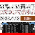 園田競馬 オッズの偏り ライブ配信 2023.04.18