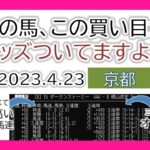 京都競馬 オッズの偏り ライブ配信 2023.04.23