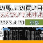 京都競馬 オッズの偏り ライブ配信 2023.04.29